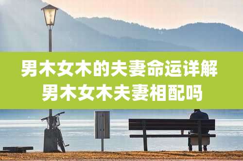 男木女木的夫妻命运详解 男木女木夫妻相配吗