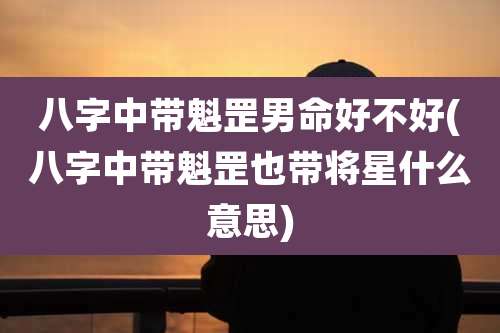 八字中带魁罡男命好不好(八字中带魁罡也带将星什么意思)