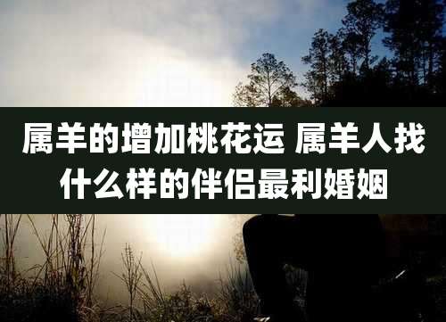 属羊的增加桃花运 属羊人找什么样的伴侣最利婚姻