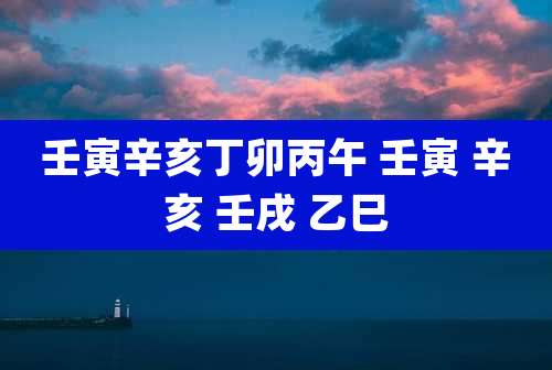 壬寅辛亥丁卯丙午 壬寅 辛亥 壬戌 乙巳