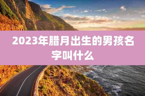 2023年腊月出生的男孩名字叫什么