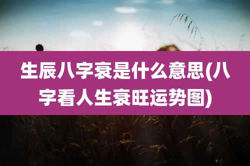 生辰八字衰是什么意思(八字看人生衰旺运势图)