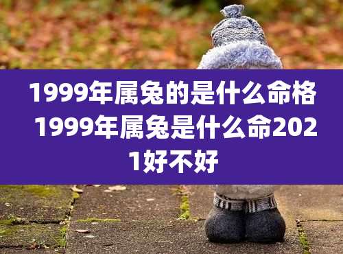 1999年属兔的是什么命格 1999年属兔是什么命2021好不好