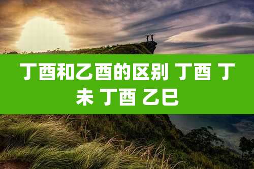 丁酉和乙酉的区别 丁酉 丁未 丁酉 乙巳