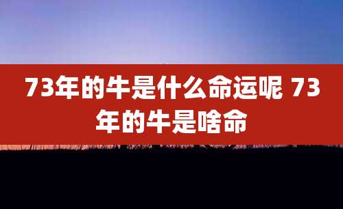 73年的牛是什么命运呢 73年的牛是啥命