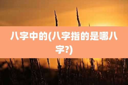 八字中的(八字指的是哪八字?)