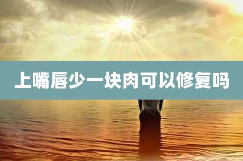 上嘴唇少一块肉可以修复吗