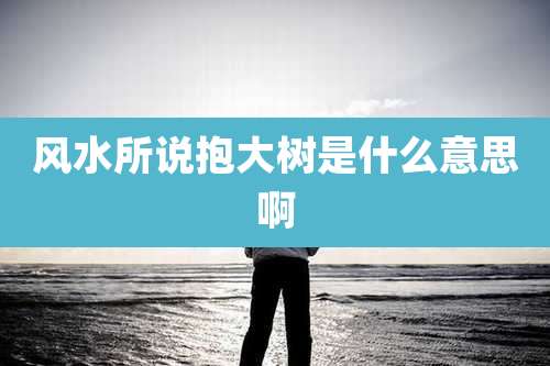 风水所说抱大树是什么意思啊