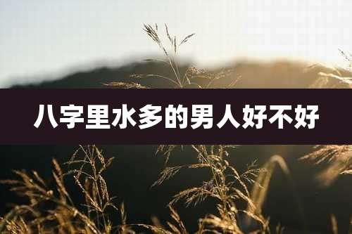 八字里水多的男人好不好