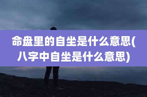 命盘里的自坐是什么意思(八字中自坐是什么意思)