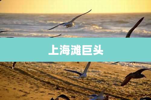 上海滩巨头