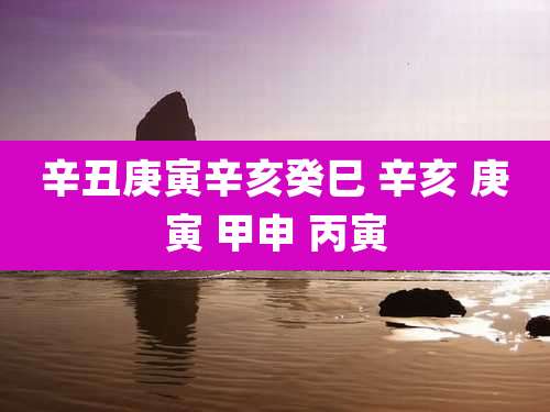 辛丑庚寅辛亥癸巳 辛亥 庚寅 甲申 丙寅