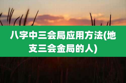八字中三会局应用方法(地支三会金局的人)