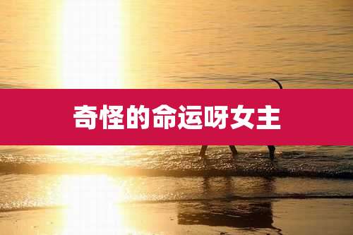 奇怪的命运呀女主