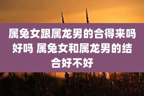 属兔女跟属龙男的合得来吗好吗 属兔女和属龙男的结合好不好