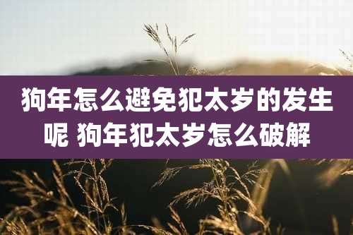 狗年怎么避免犯太岁的发生呢 狗年犯太岁怎么破解