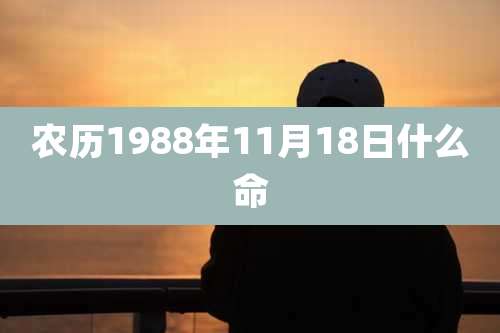 农历1988年11月18日什么命