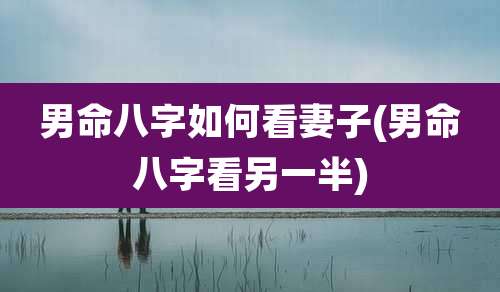 男命八字如何看妻子(男命八字看另一半)