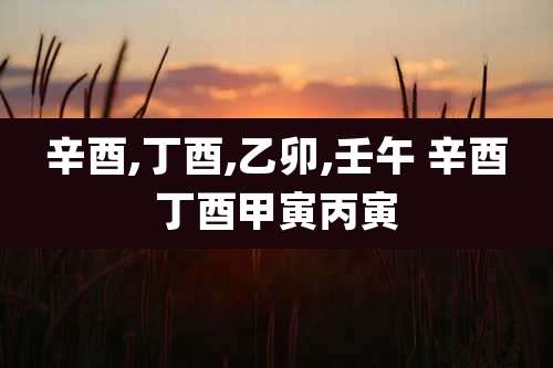 辛酉,丁酉,乙卯,壬午 辛酉丁酉甲寅丙寅