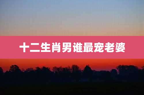 十二生肖男谁最宠老婆