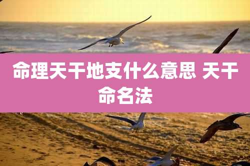 命理天干地支什么意思 天干命名法