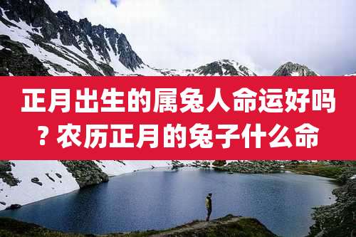 正月出生的属兔人命运好吗? 农历正月的兔子什么命