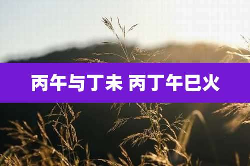 丙午与丁未 丙丁午巳火