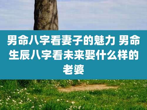 男命八字看妻子的魅力 男命生辰八字看未来娶什么样的老婆