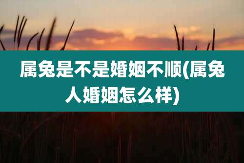 属兔是不是婚姻不顺(属兔人婚姻怎么样)