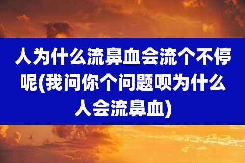 人为什么流鼻血会流个不停呢(我问你个问题呗为什么人会流鼻血)