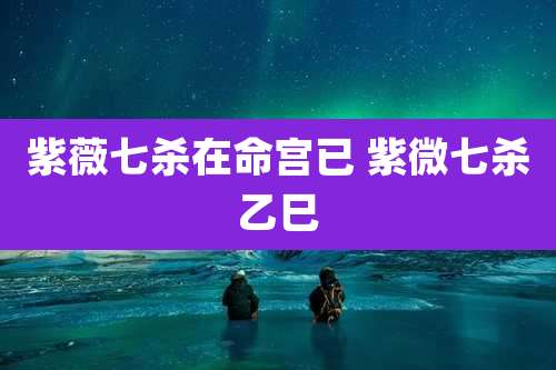 紫薇七杀在命宫已 紫微七杀乙巳