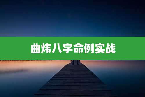 曲炜八字命例实战