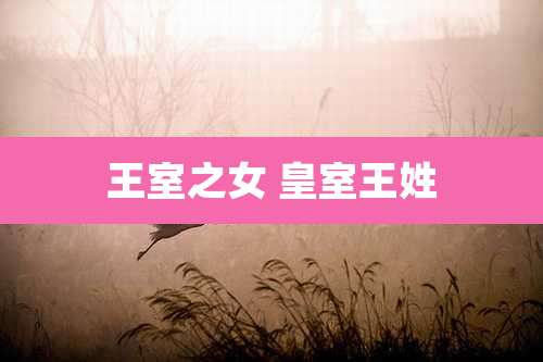 王室之女 皇室王姓