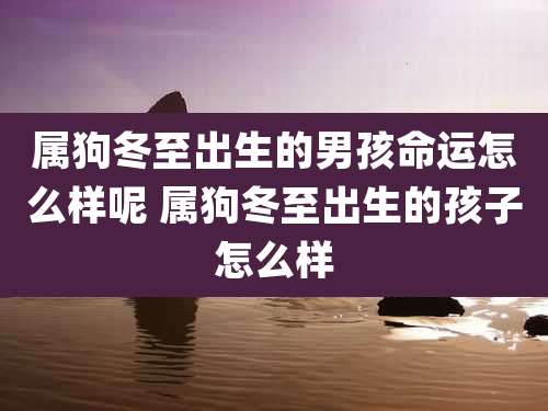 属狗冬至出生的男孩命运怎么样呢 属狗冬至出生的孩子怎么样