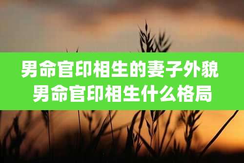 男命官印相生的妻子外貌 男命官印相生什么格局