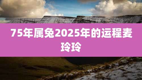 75年属兔2025年的运程麦玲玲