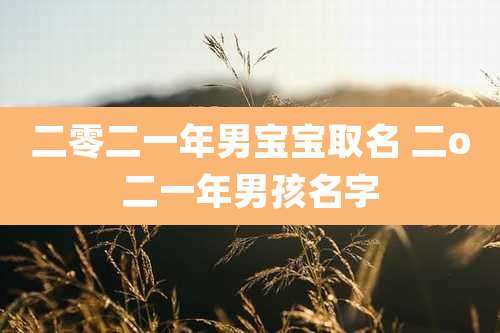 二零二一年男宝宝取名 二o二一年男孩名字