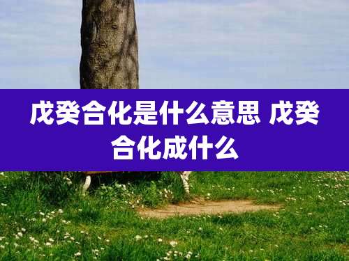 戊癸合化是什么意思 戊癸合化成什么