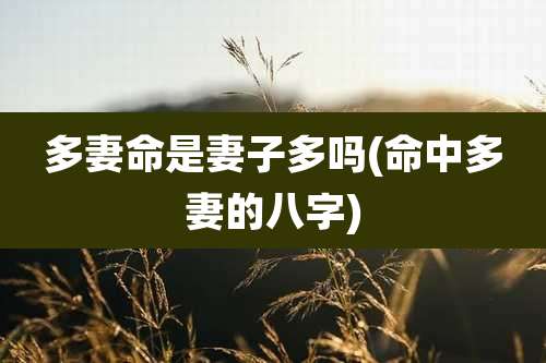 多妻命是妻子多吗(命中多妻的八字)
