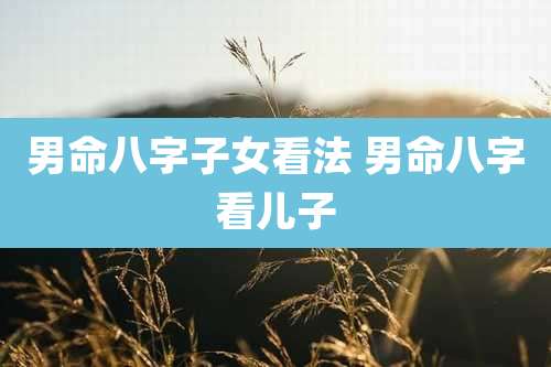 男命八字子女看法 男命八字看儿子