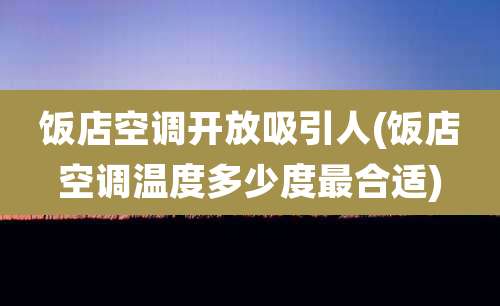 饭店空调开放吸引人(饭店空调温度多少度最合适)