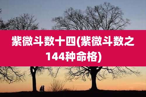 紫微斗数十四(紫微斗数之144种命格)