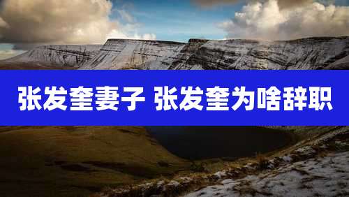 张发奎妻子 张发奎为啥辞职