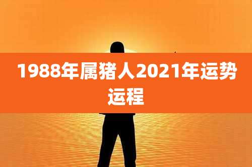1988年属猪人2021年运势运程