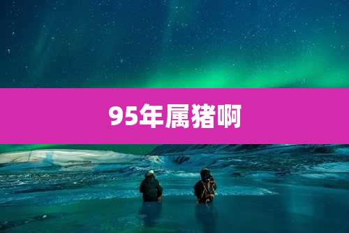 95年属猪啊