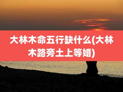 大林木命五行缺什么(大林木路旁土上等婚)