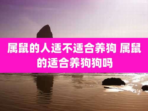 属鼠的人适不适合养狗 属鼠的适合养狗狗吗