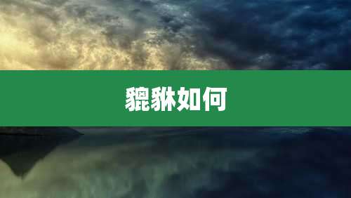 貔貅如何