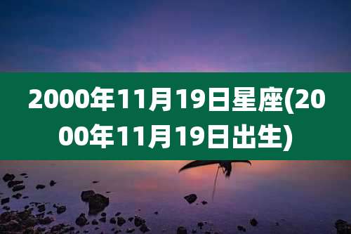 2000年11月19日星座(2000年11月19日出生)