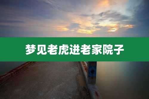 梦见老虎进老家院子